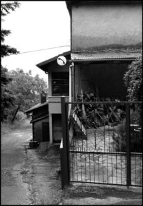Apella